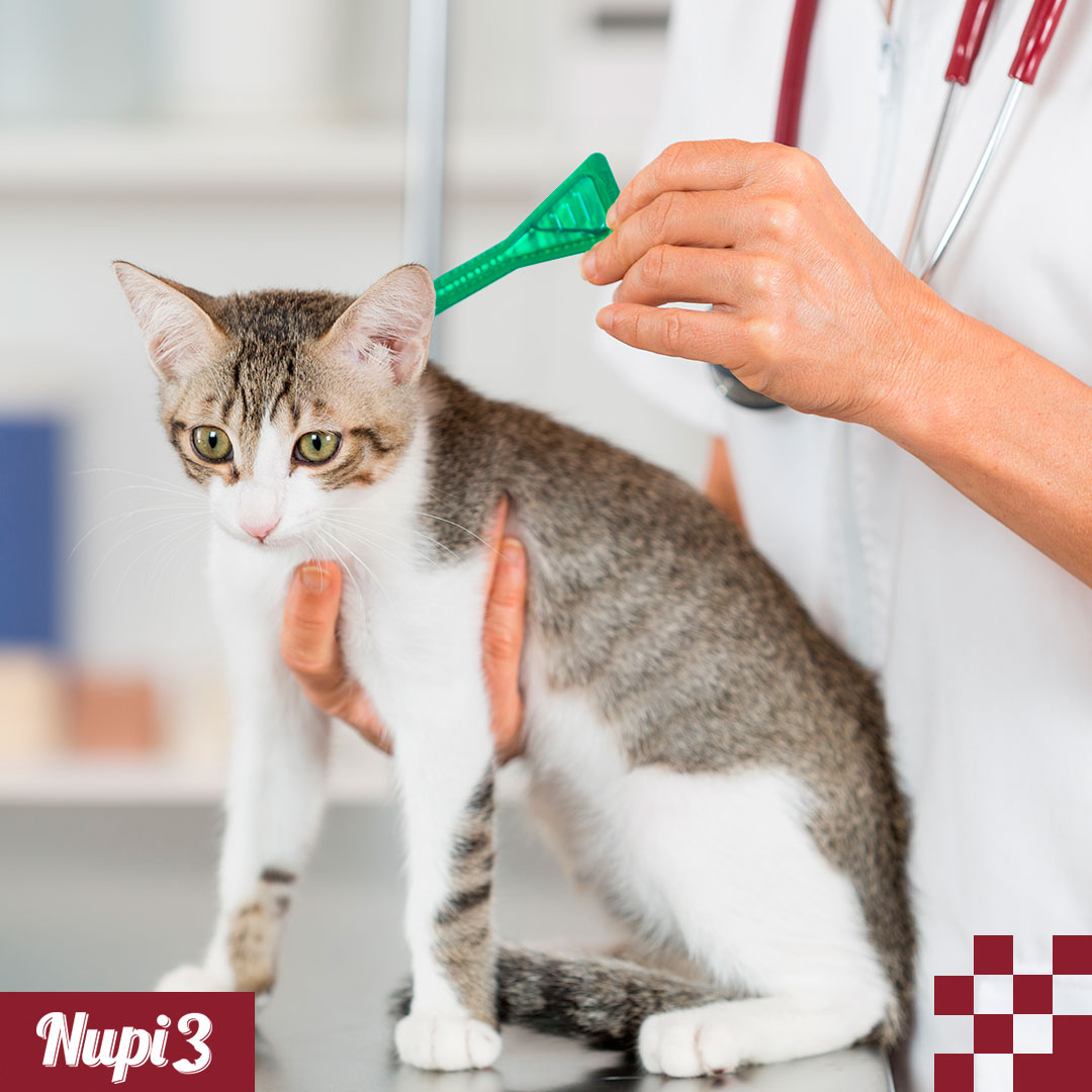 Productos Veterinarios para la Salud Preventiva Nupi3